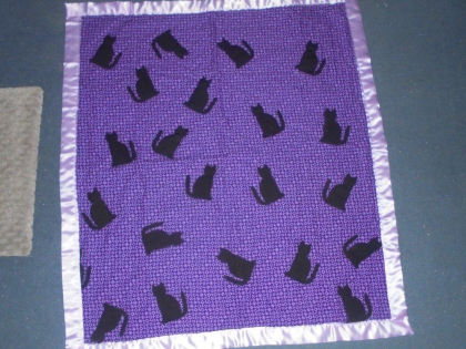 #1101 Black Cats
