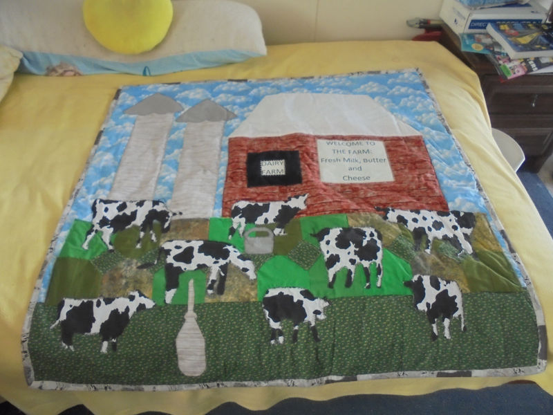 #1119  Blocks of Roses - Small Throw