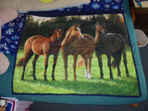 #1226 Horses posing for a picture 44"x37" $60 